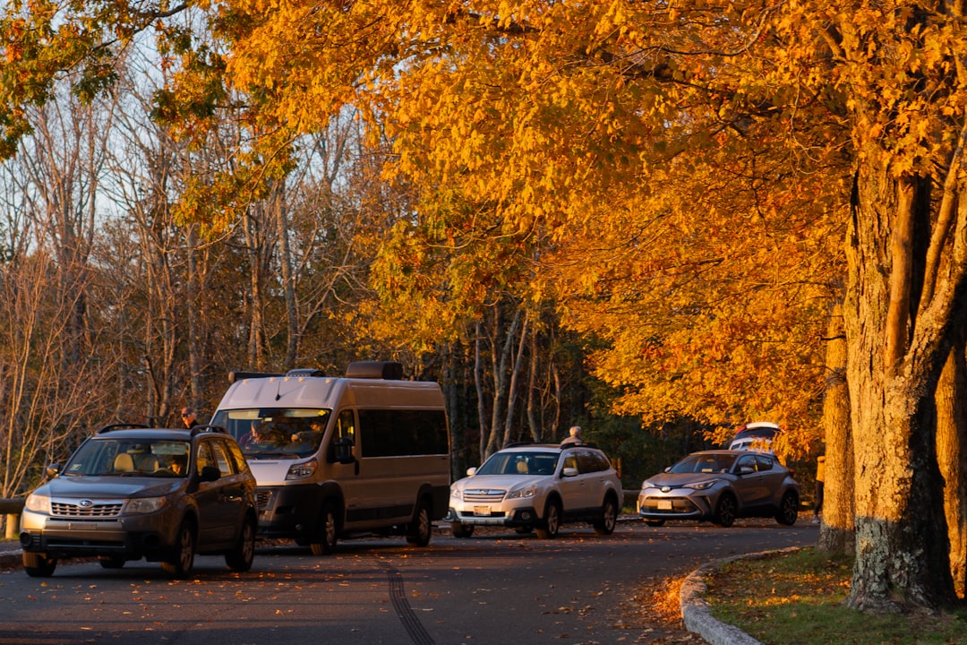 <a href="https://hillcrestspoutrunhoa.neighborhood.online/about/resources">Resources</a> 98520d23-ca34-471b-b8fd-76dd12862c59.jpg